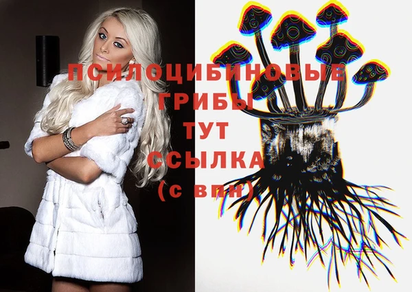 молекула духа Абаза