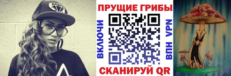 МЕГА вход  Новотроицк  Галлюциногенные грибы GOLDEN TEACHER 